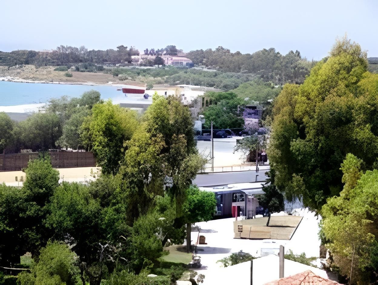 المظهر الخارجي