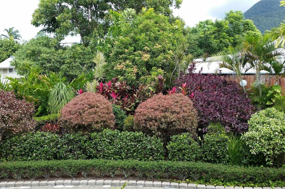 المظهر الخارجي