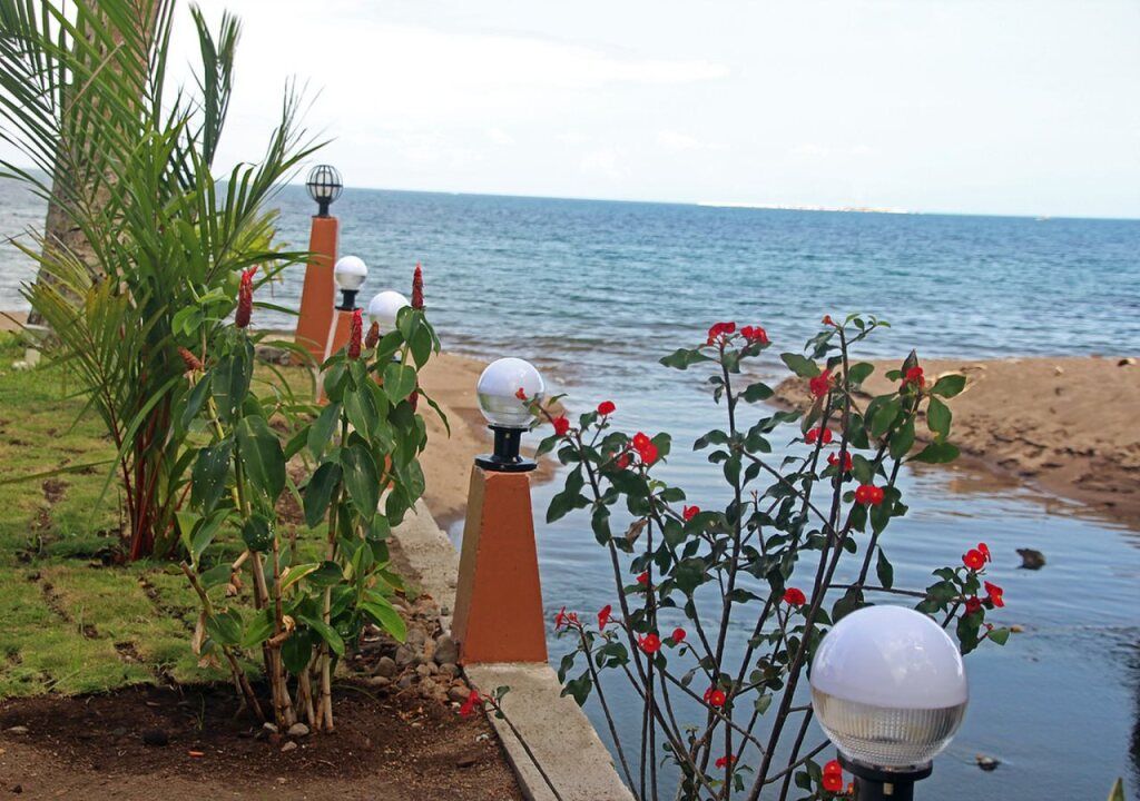 المظهر الخارجي