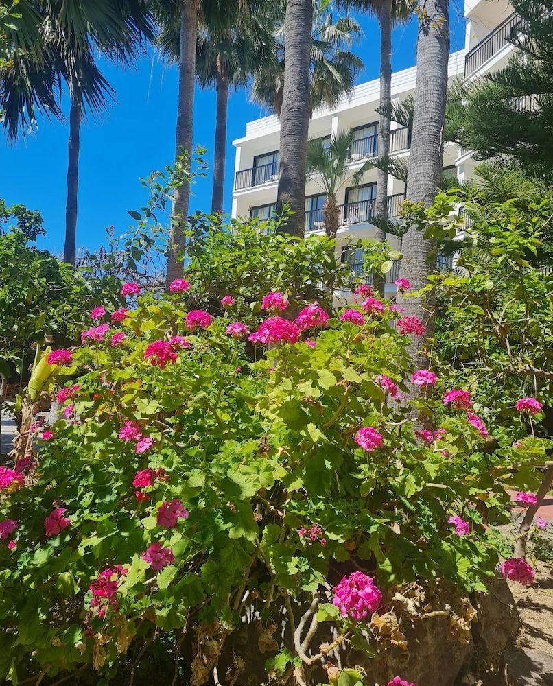 المظهر الخارجي