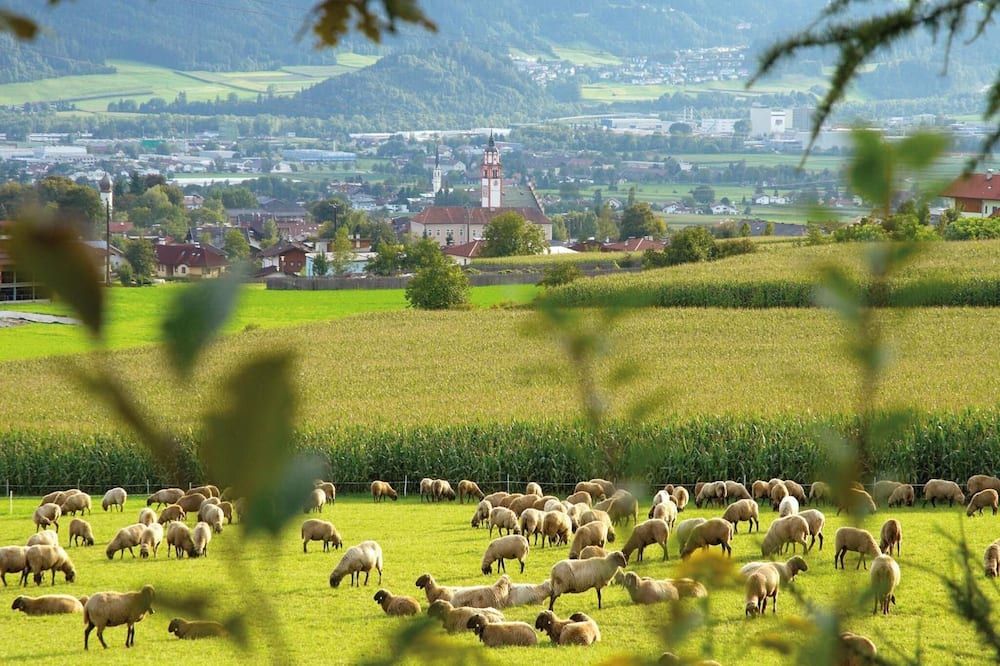 المظهر الخارجي