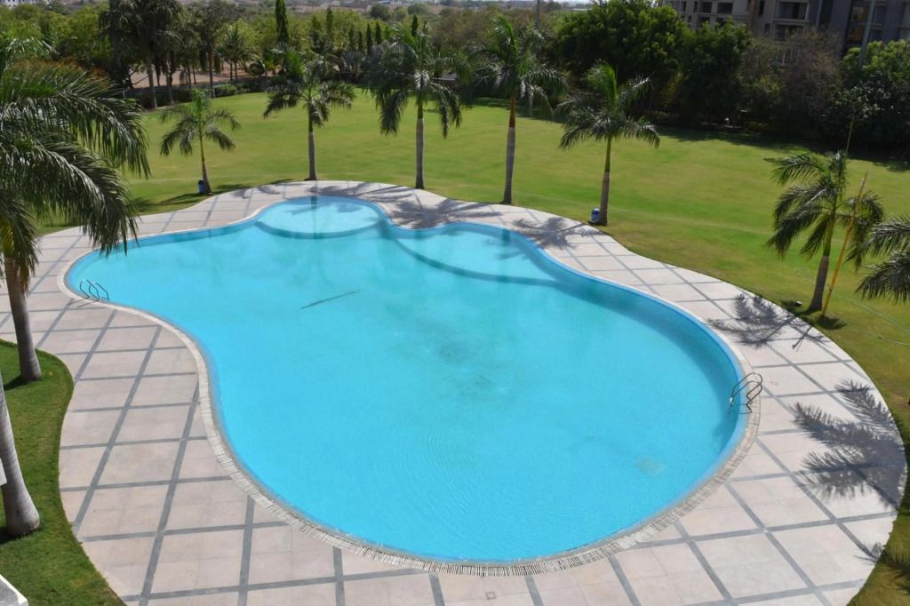 حوض السباحة