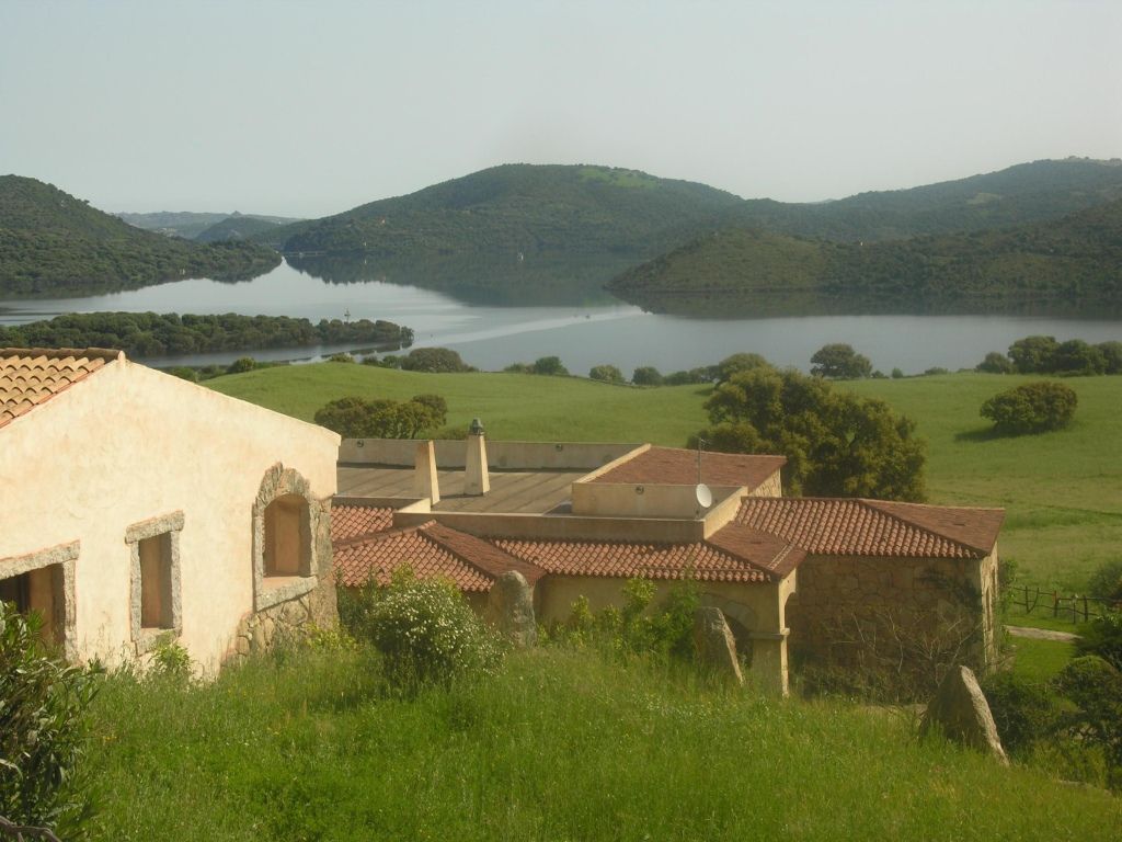 المظهر الخارجي