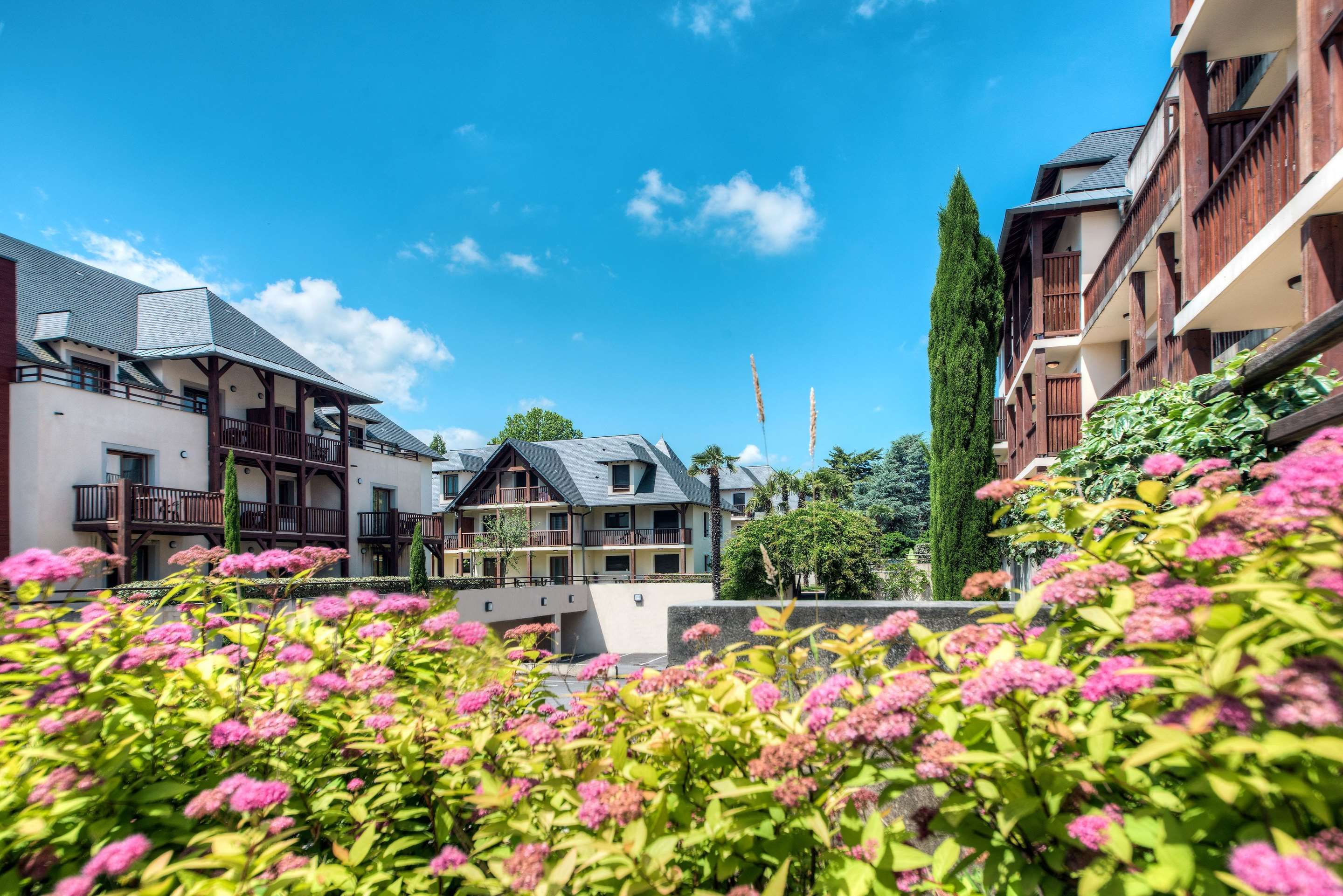 المظهر الخارجي