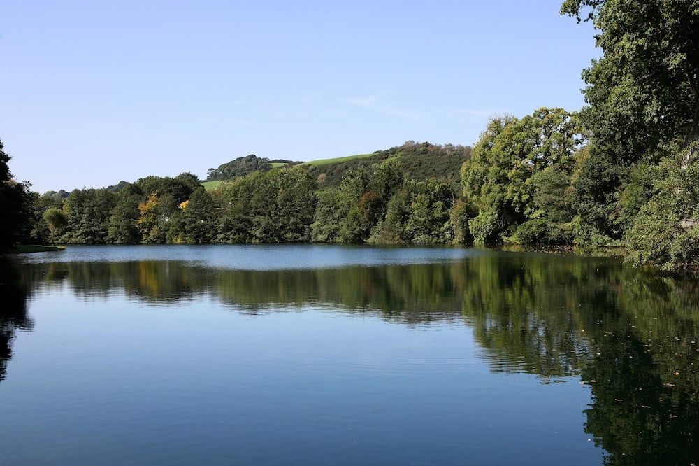 المظهر الخارجي