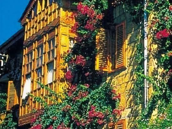 المظهر الخارجي