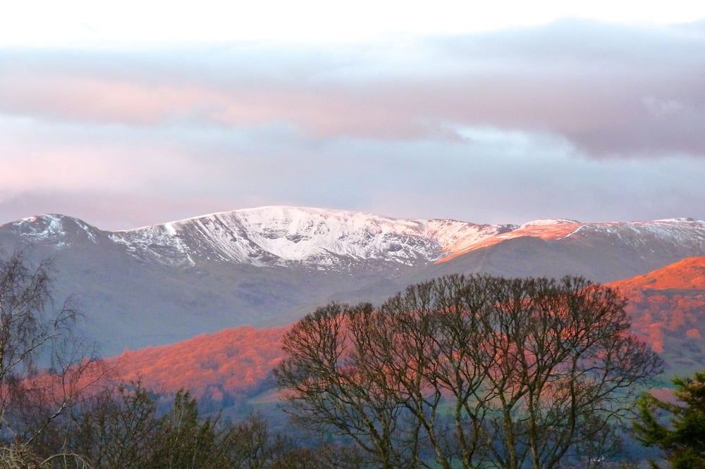 المظهر الخارجي