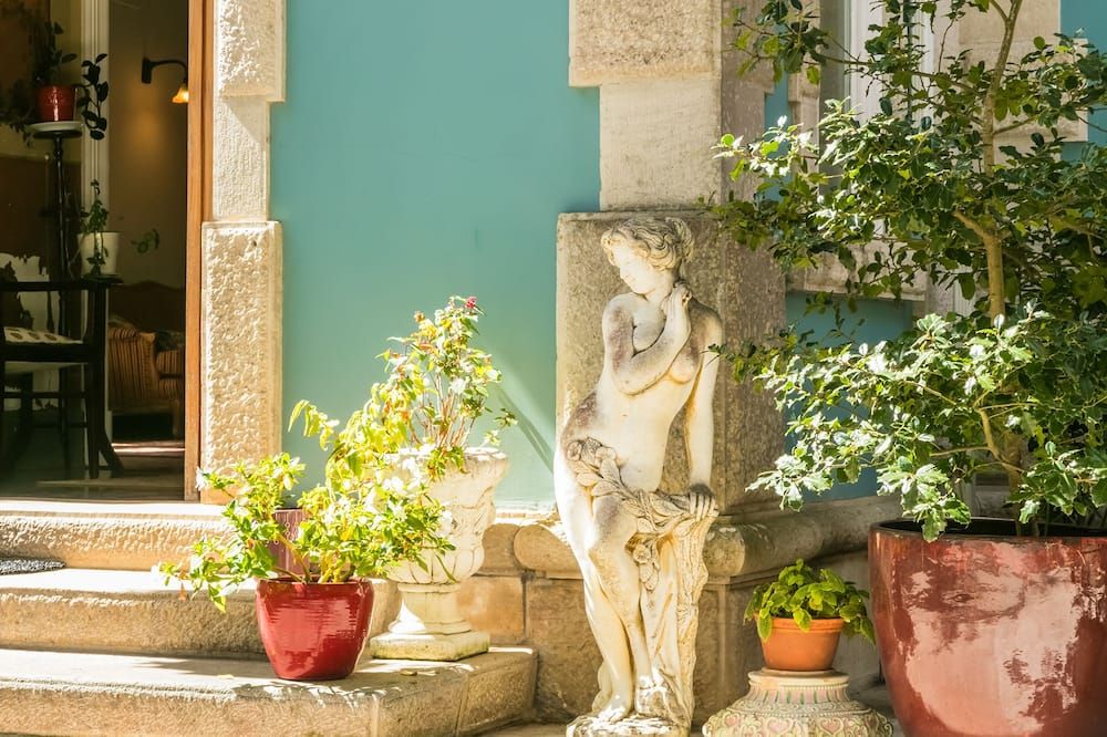 المظهر الخارجي