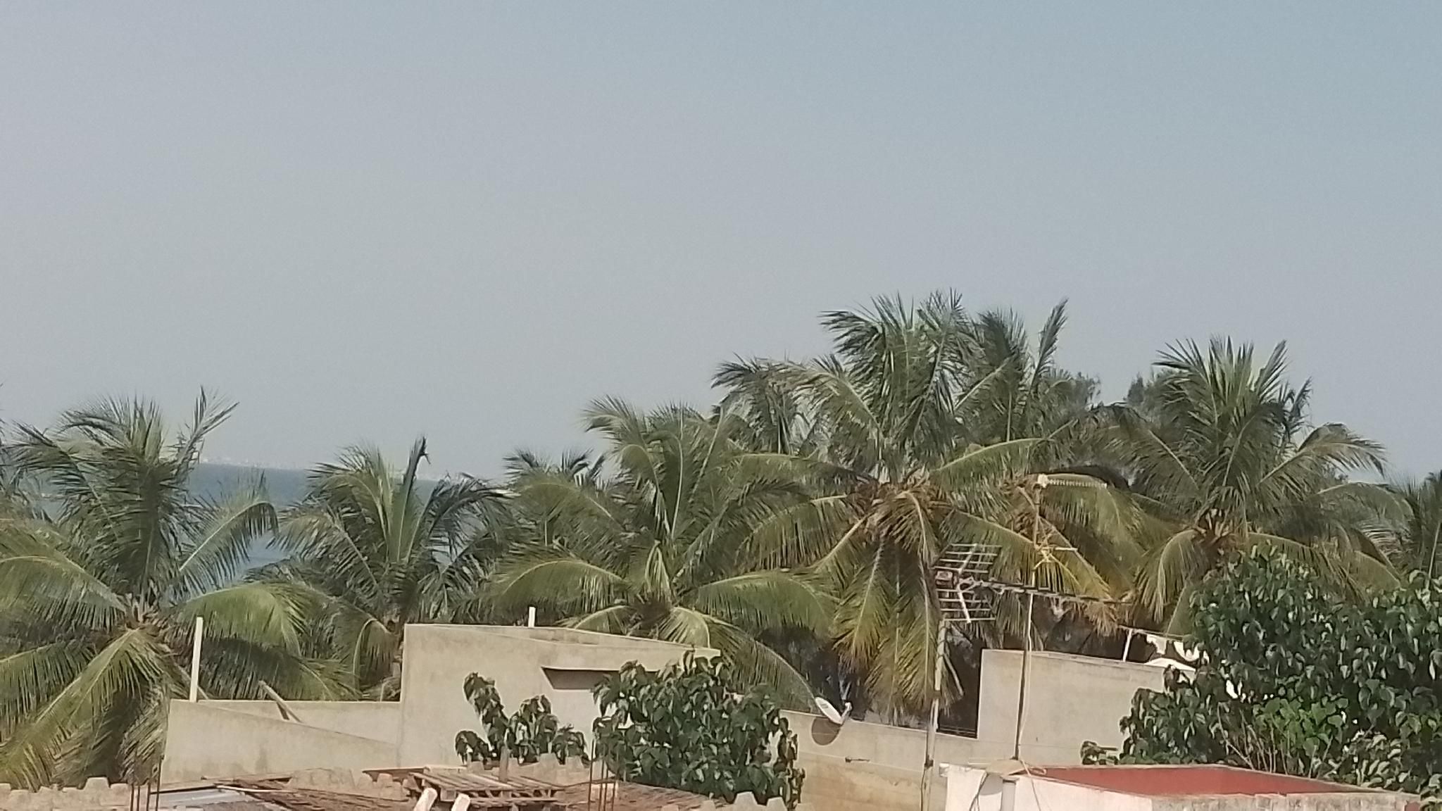 المظهر الخارجي