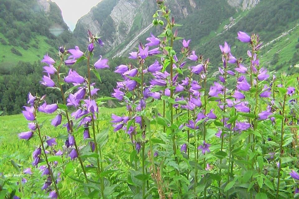 المظهر الخارجي