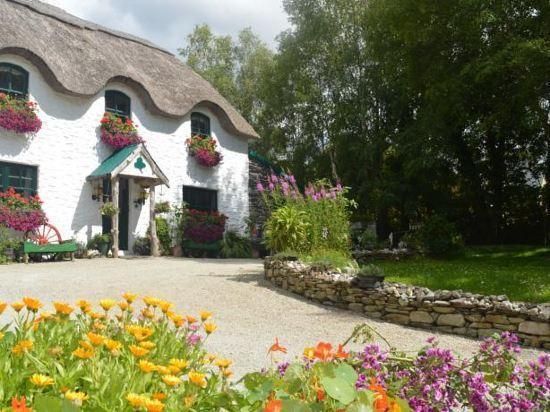 المظهر الخارجي