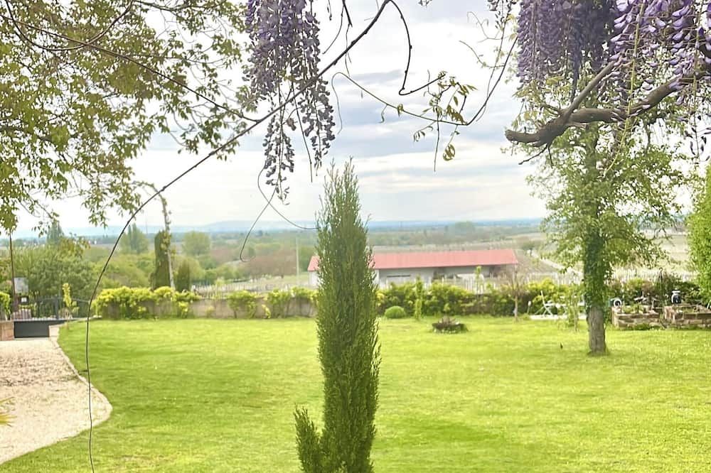 المظهر الخارجي