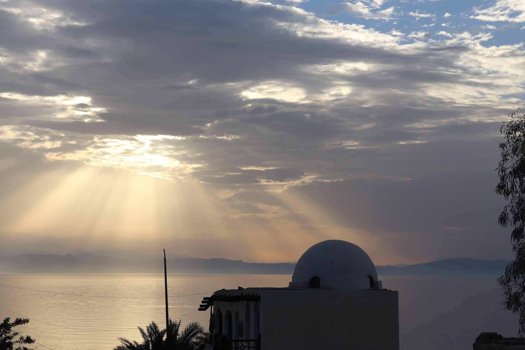 المظهر الخارجي