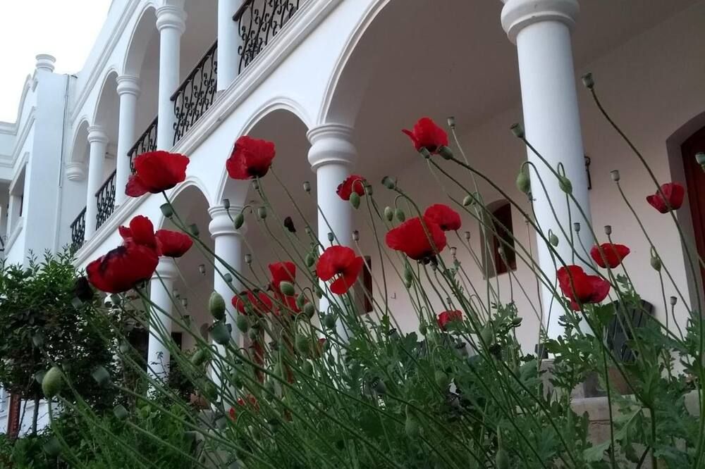 المظهر الخارجي