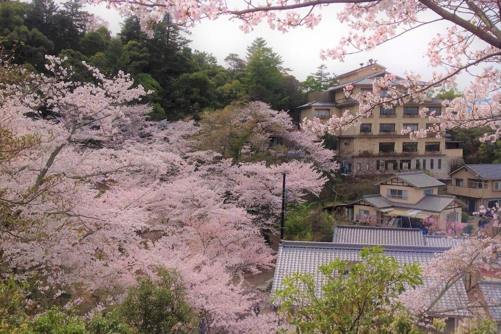 المظهر الخارجي