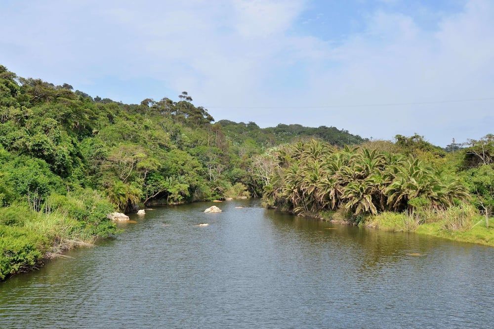 المظهر الخارجي