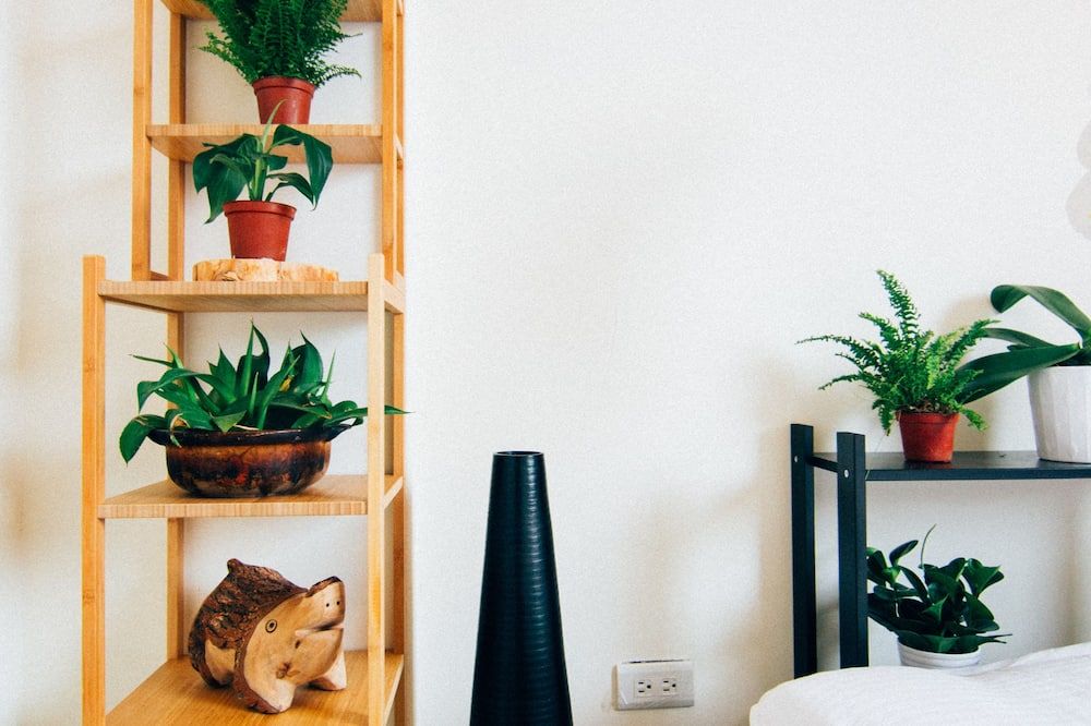 وسائل راحة في الغرف