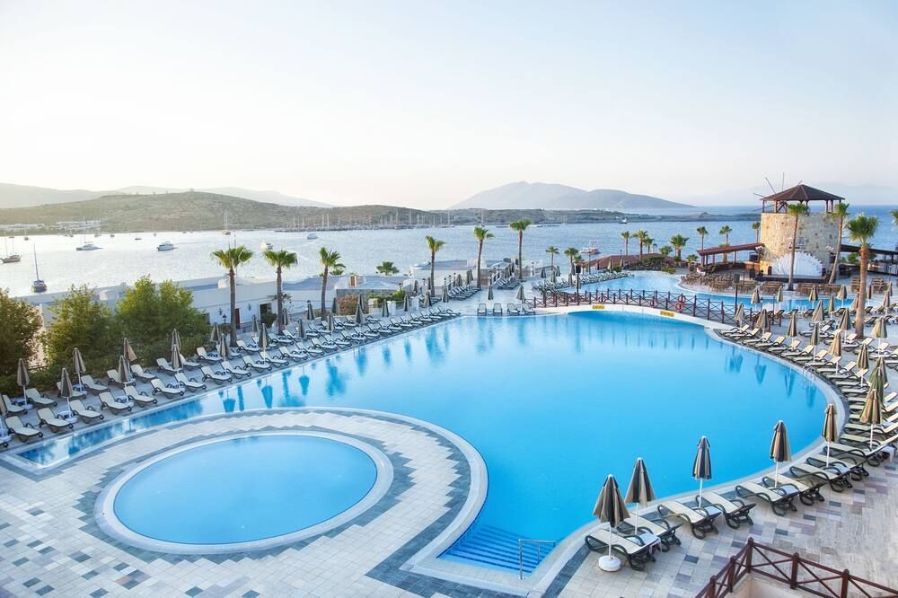 حوض السباحة