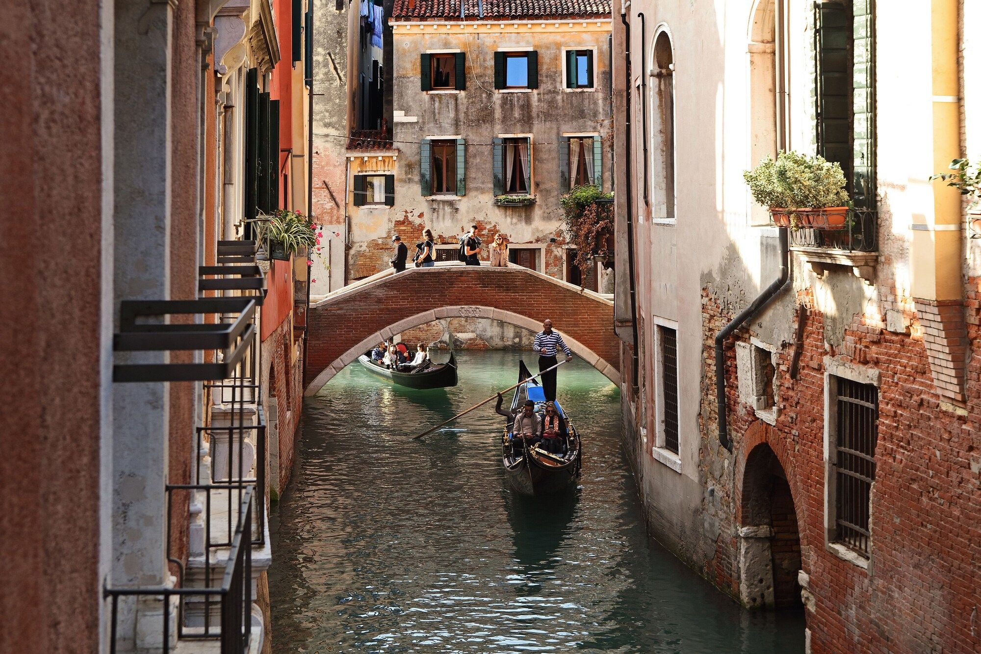 المظهر الخارجي