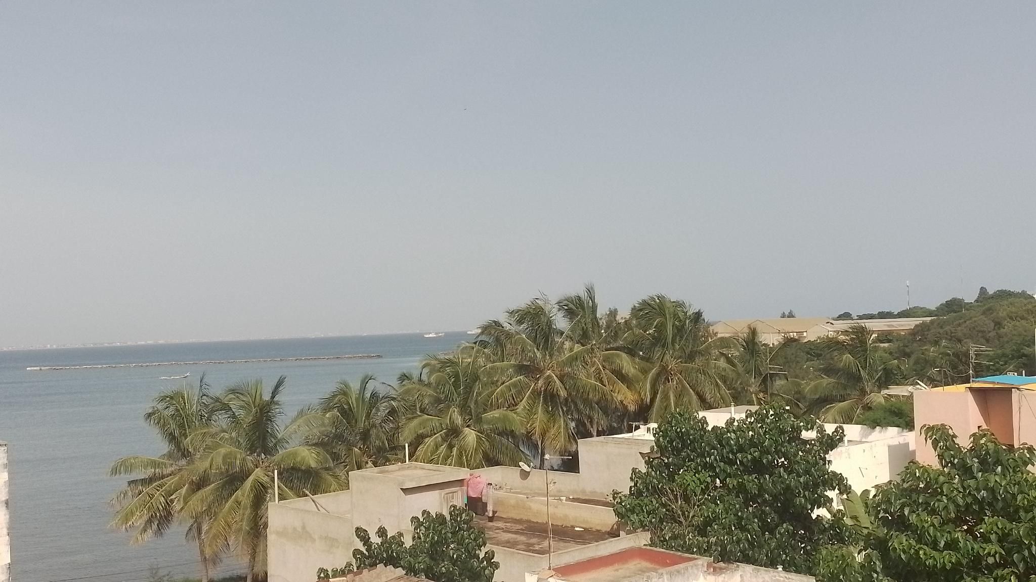 المظهر الخارجي