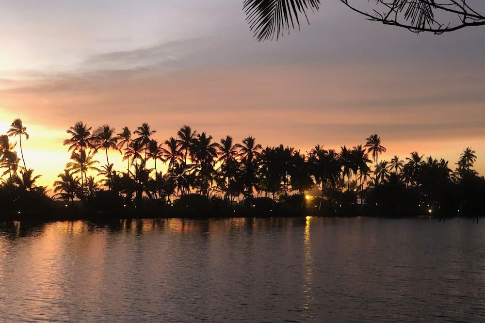 المظهر الخارجي