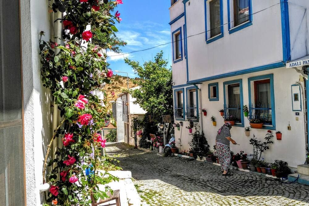 المظهر الخارجي