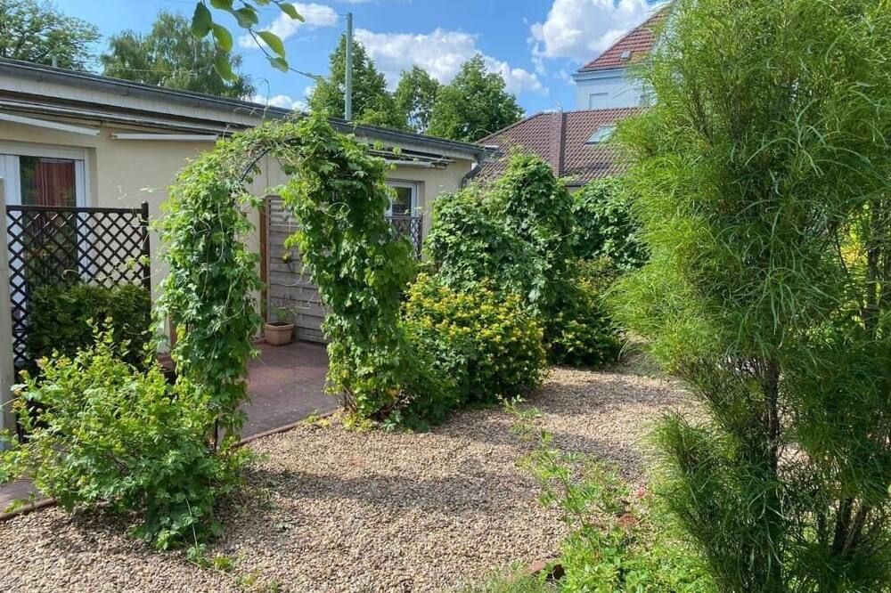 المظهر الخارجي