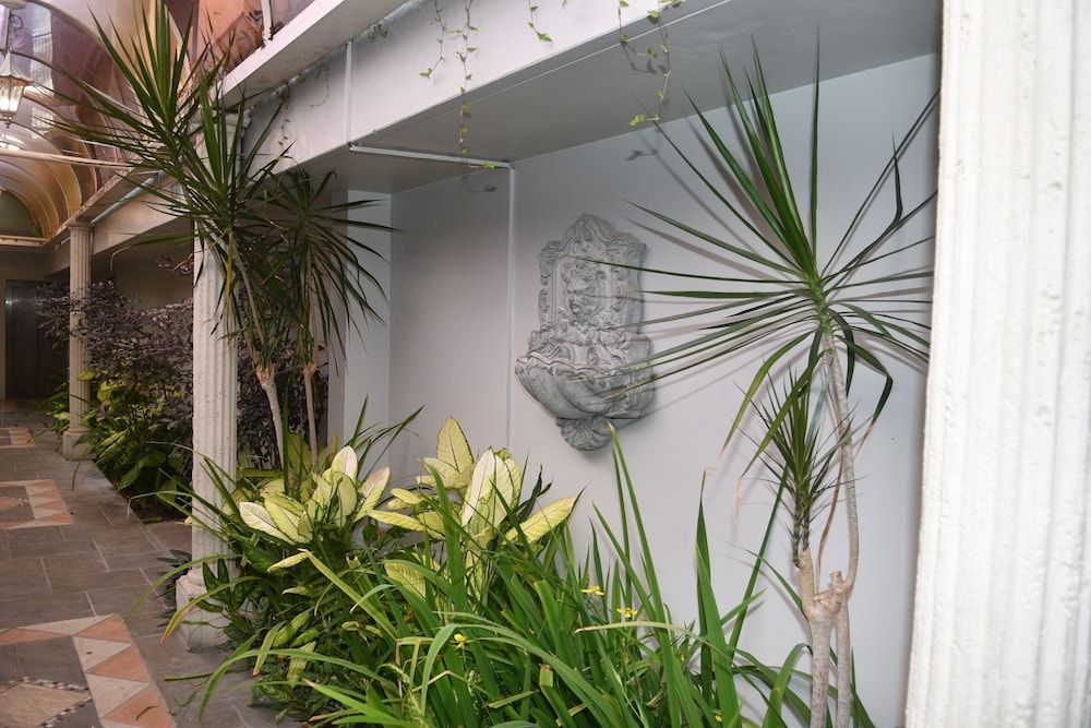 المظهر الخارجي