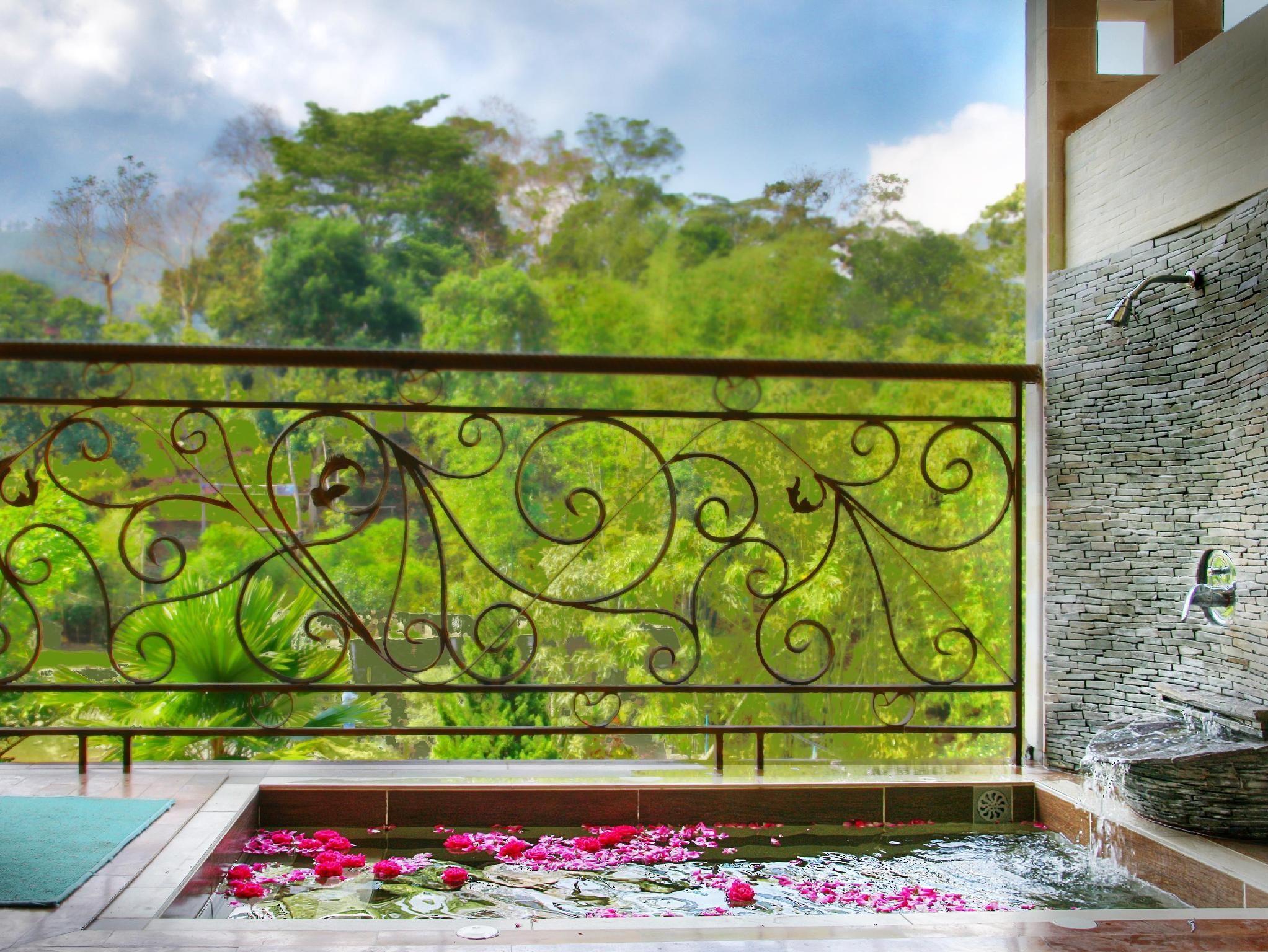 المظهر الخارجي