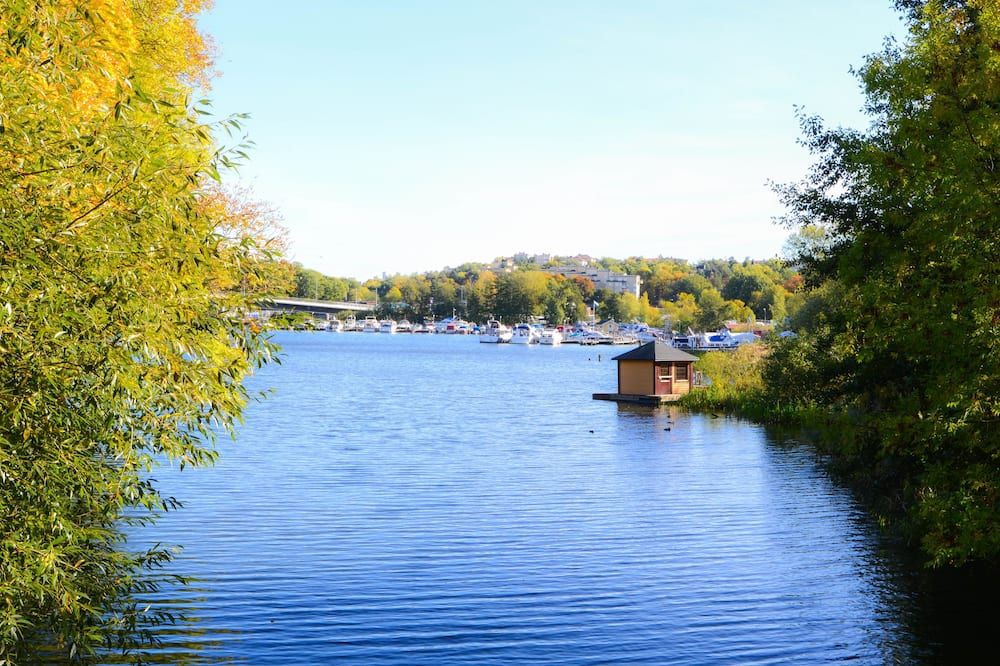 المظهر الخارجي