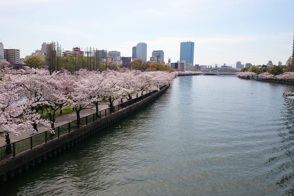 المظهر الخارجي