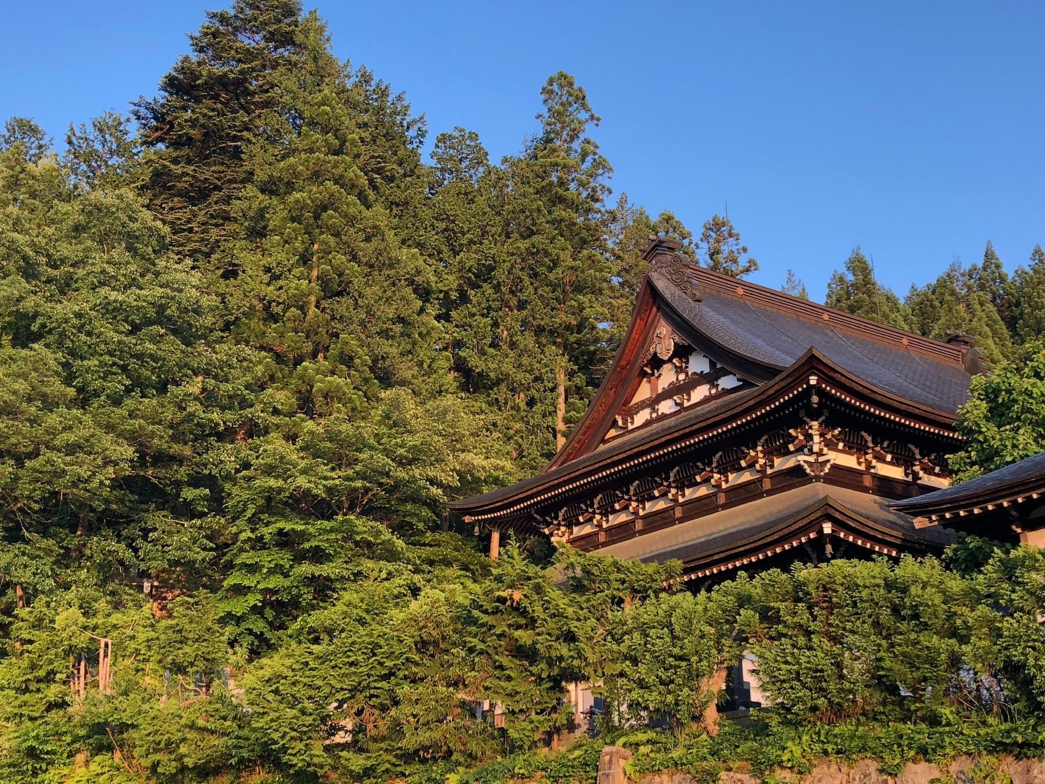 المظهر الخارجي