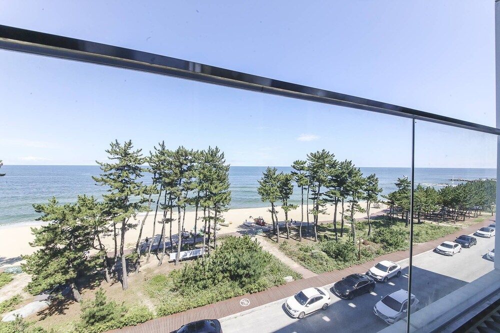 المظهر الخارجي