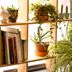 مبنى
