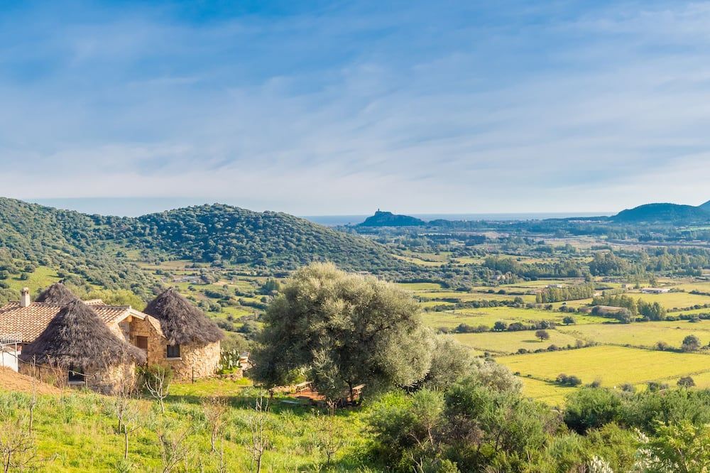 المظهر الخارجي