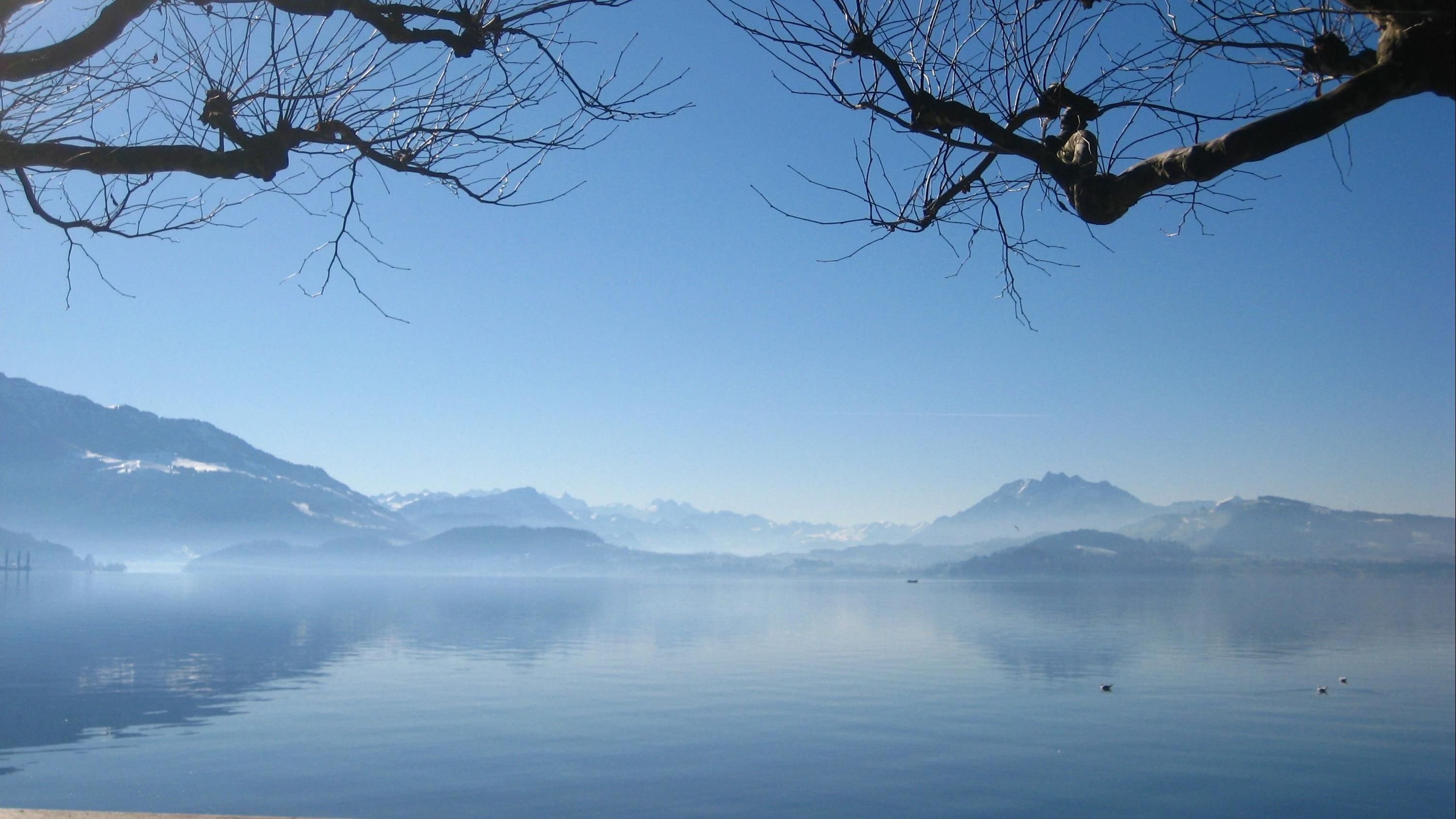 المظهر الخارجي