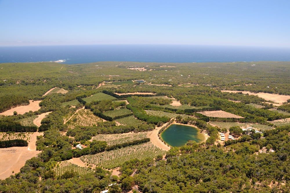 المظهر الخارجي