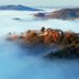 المظهر الخارجي