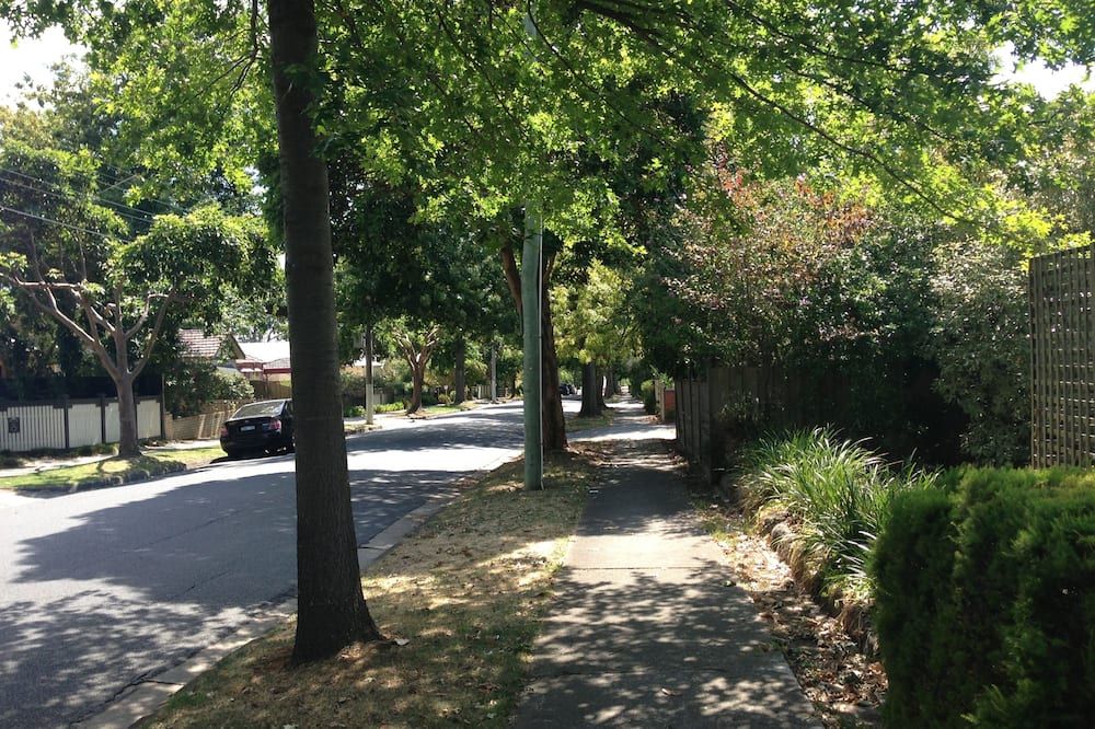 المظهر الخارجي