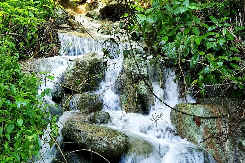 المظهر الخارجي