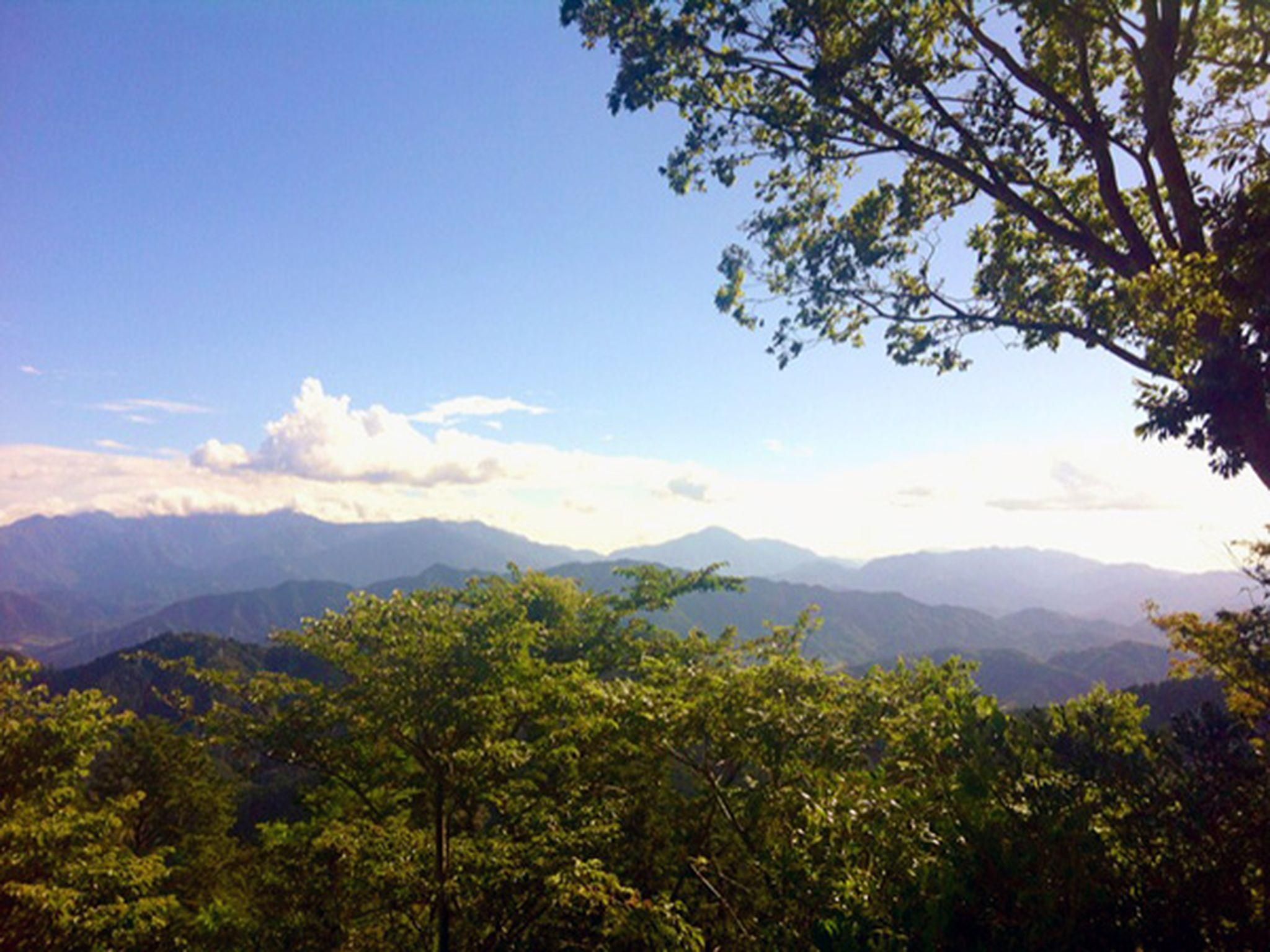 المظهر الخارجي