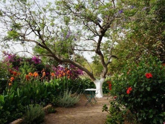 المظهر الخارجي