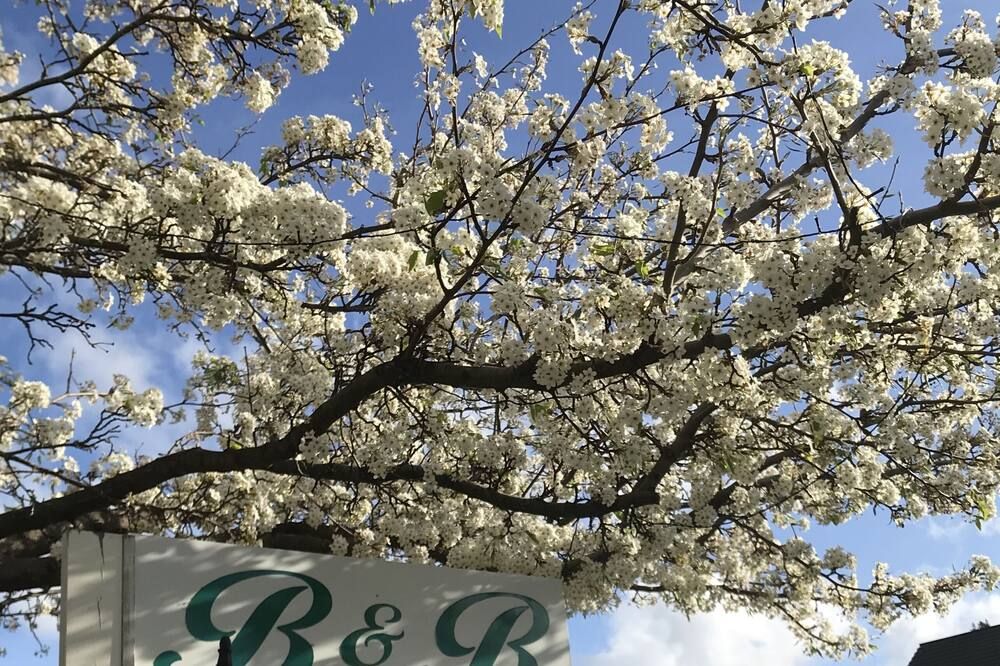 المظهر الخارجي