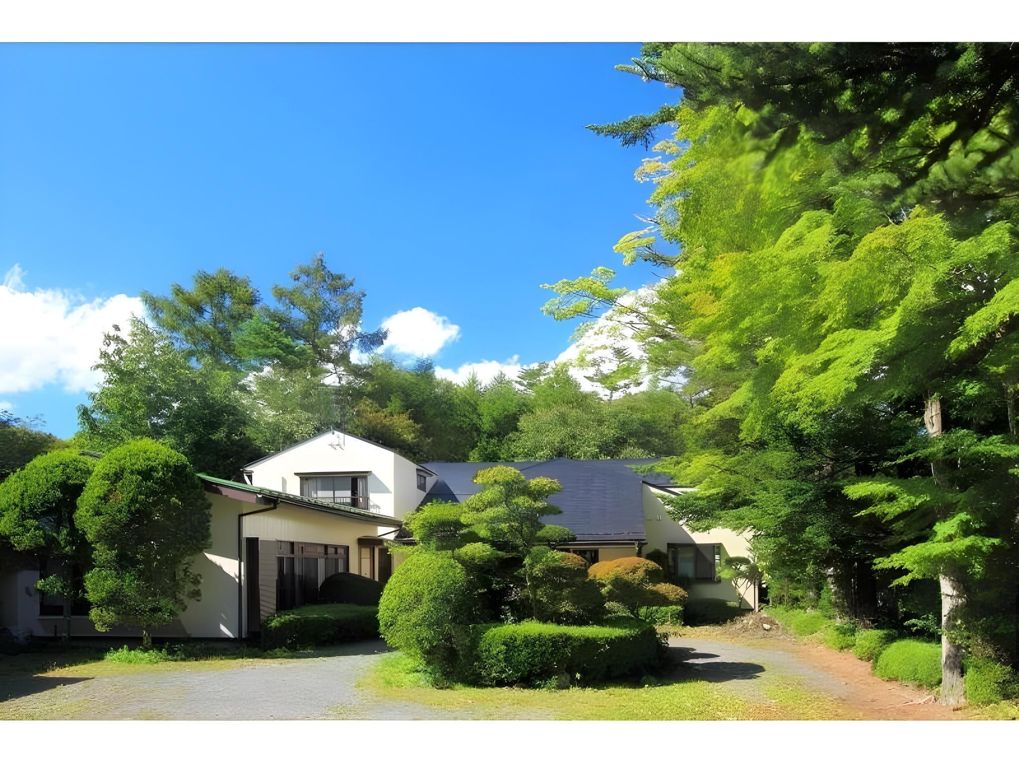 المظهر الخارجي