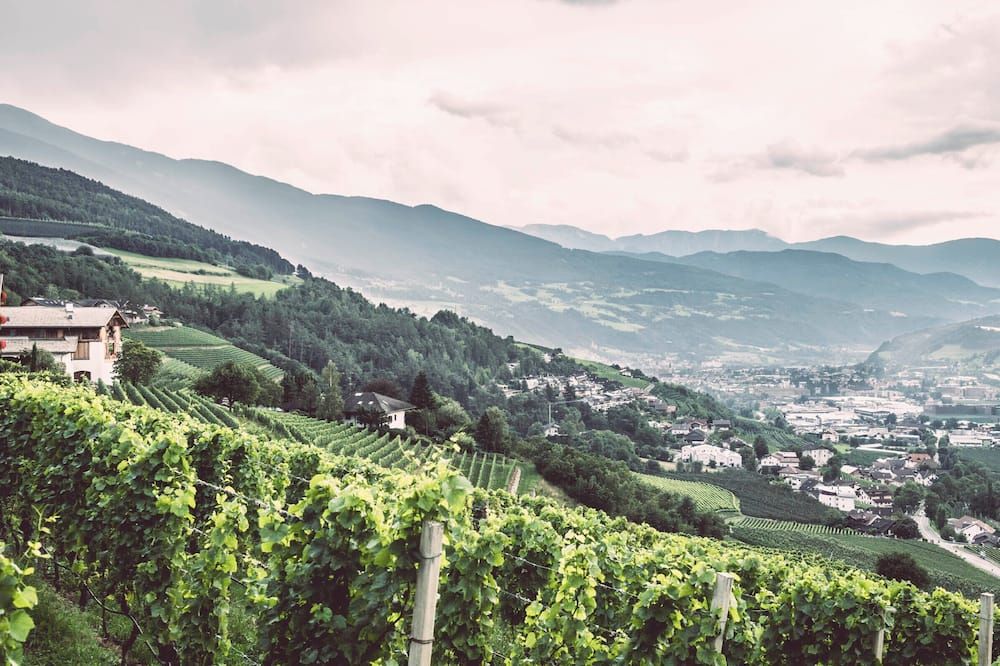 المظهر الخارجي