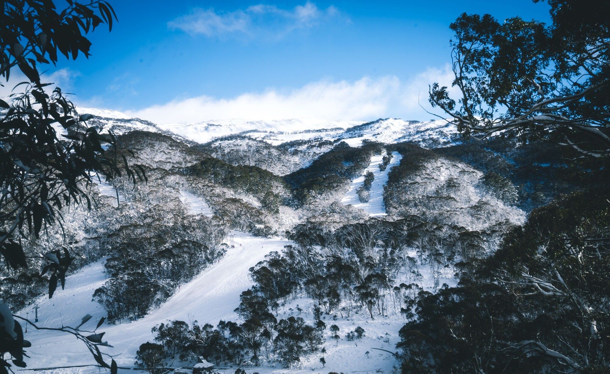 المظهر الخارجي