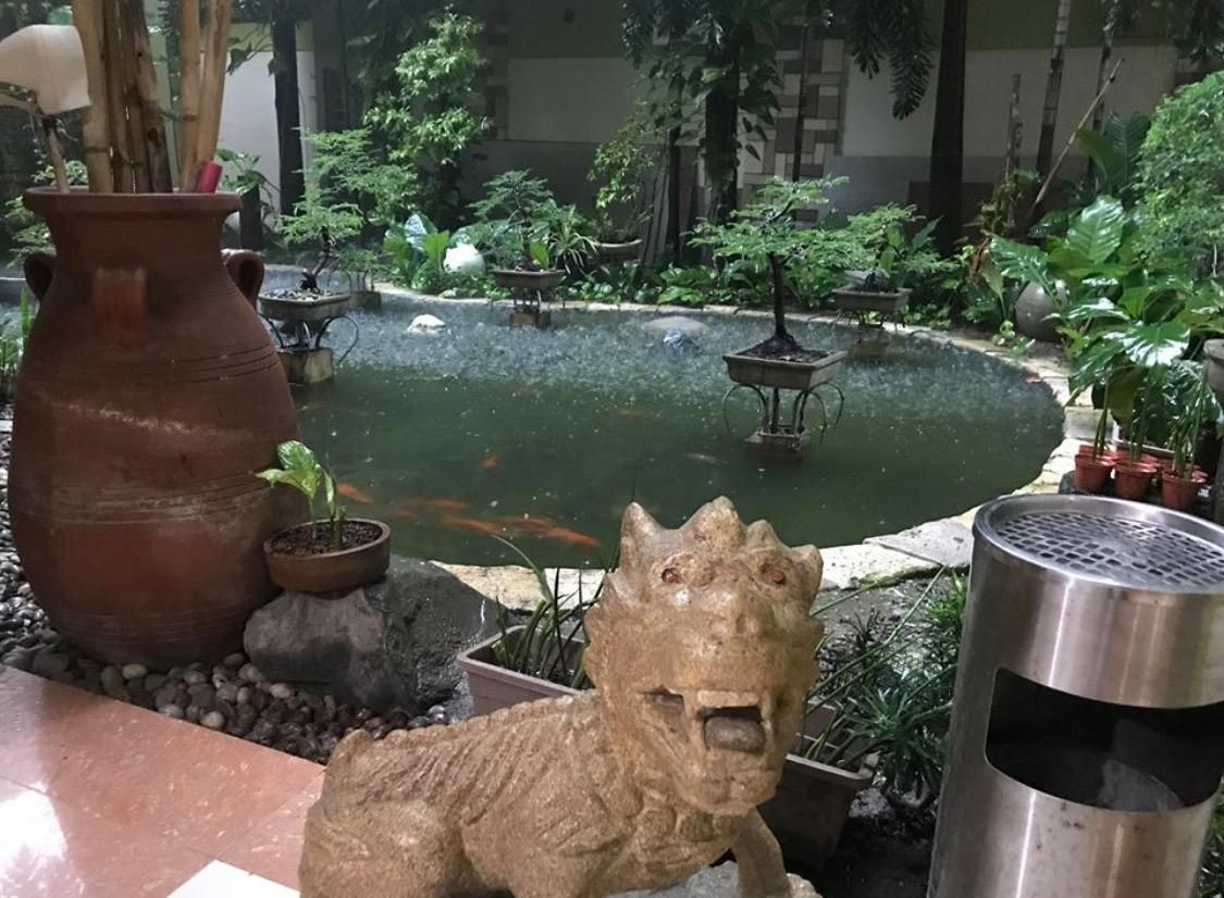 المظهر الخارجي