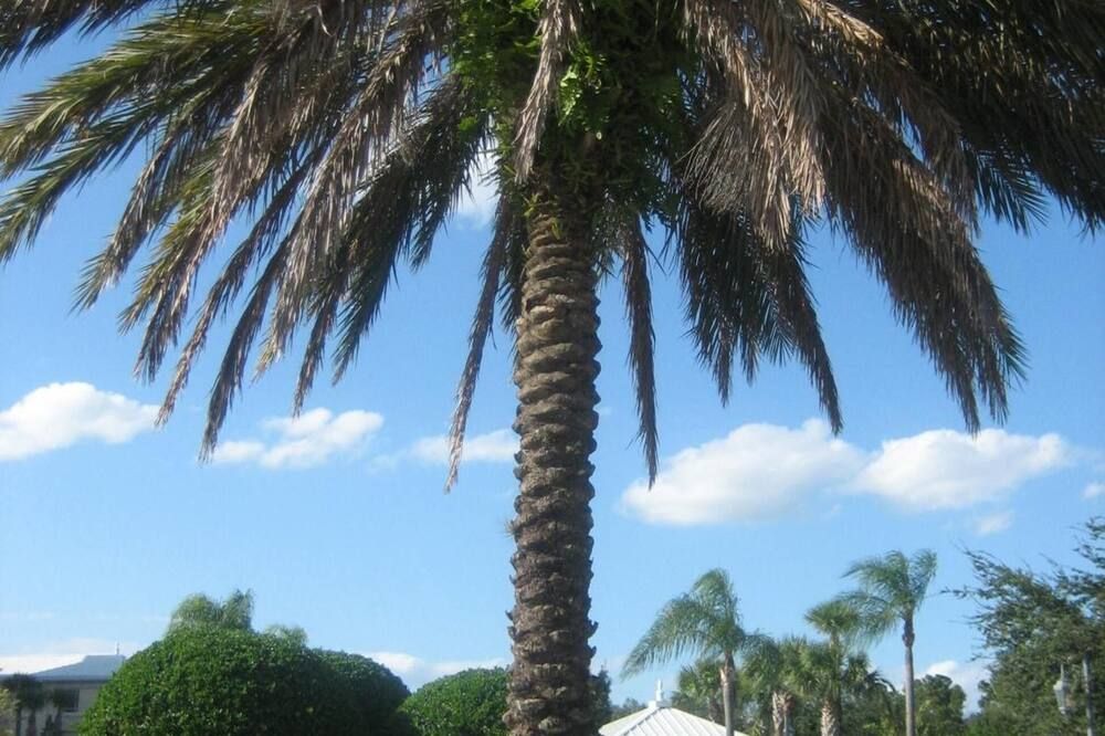 المظهر الخارجي