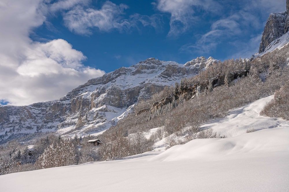 المظهر الخارجي