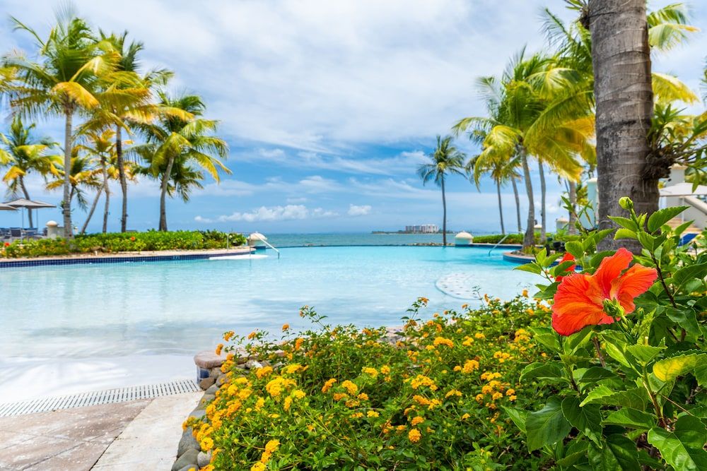 حوض السباحة